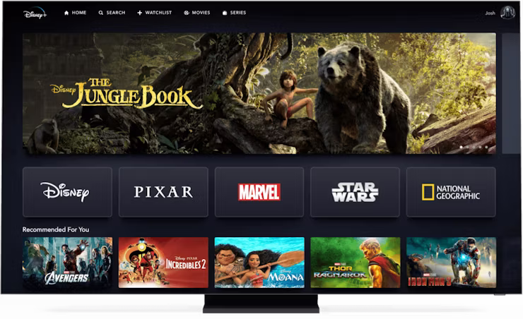 Neem ExpressVPN om Disney+ priv&eacute; en veilig te streamen.